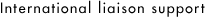 International liaison support