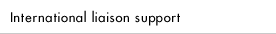 International liaison support