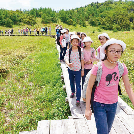 夏の学校