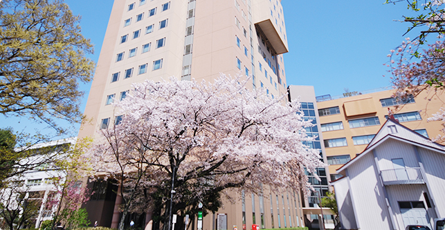 交通アクセス 学校法人 日本女子大学