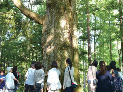 もみの木会