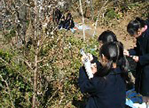 崖下教材園での植物観察