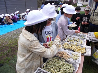 山菜採り