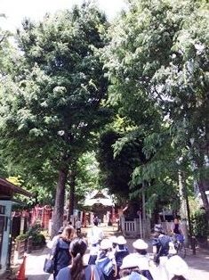 鬼子母神の見学
