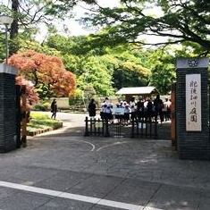 肥後細川庭園の見学