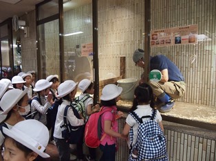 「２年生　上野動物園」