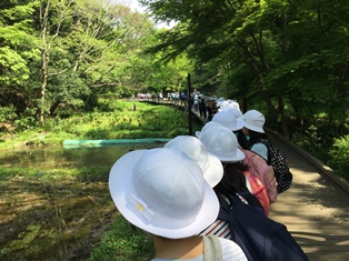 「３年生　森林公園」