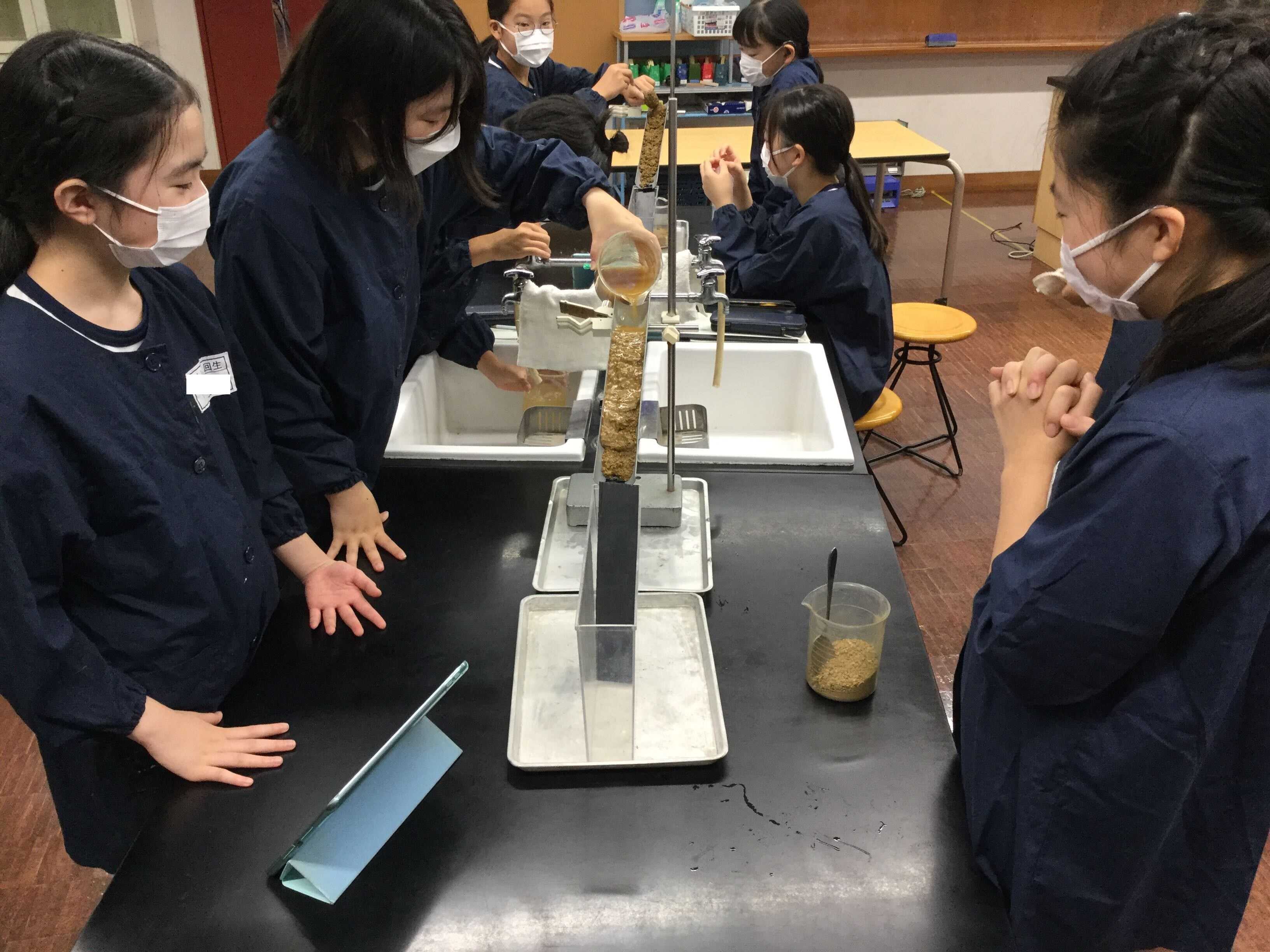 理科 ６年生 地層をつくる実験 日本女子大学附属豊明小学校