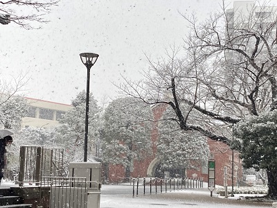 雪の目白キャンパス（1月6日）