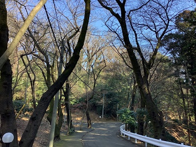 校地内通学路の風景