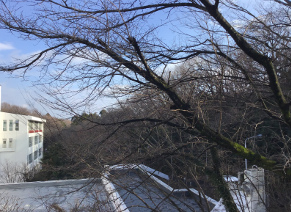 今日の学校 春まだ遠く・・・