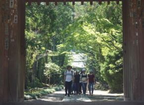 新緑が美しい寿福寺の境内