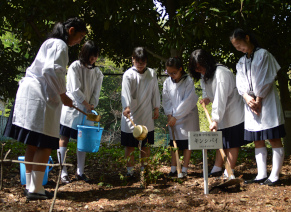 3年生による植樹
