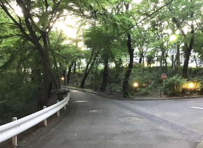 いつもの坂道