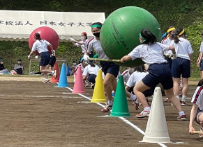 2年生「大玉運び」２本の竹の棒で大玉を運びます