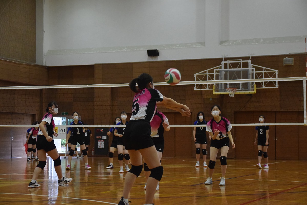 バレーボールクラブ 部内戦