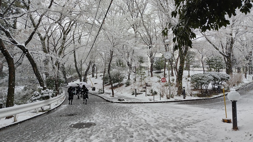 3学期終業式、雪景色の中の登校になりました