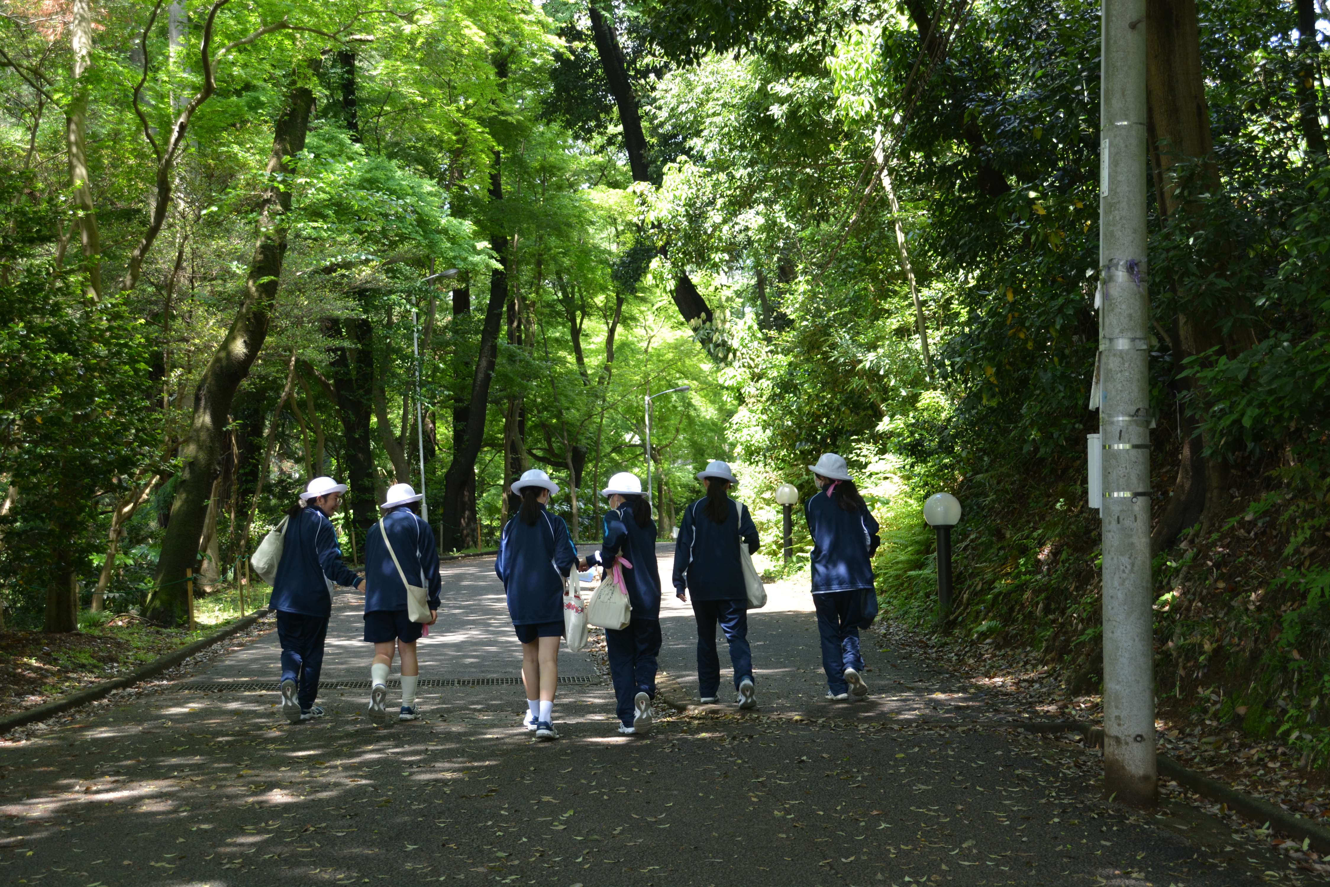 山の中を散策します