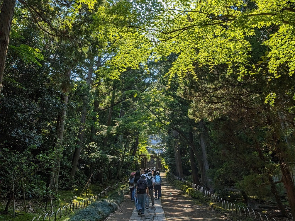 北条政子のお墓がある寿福寺へ