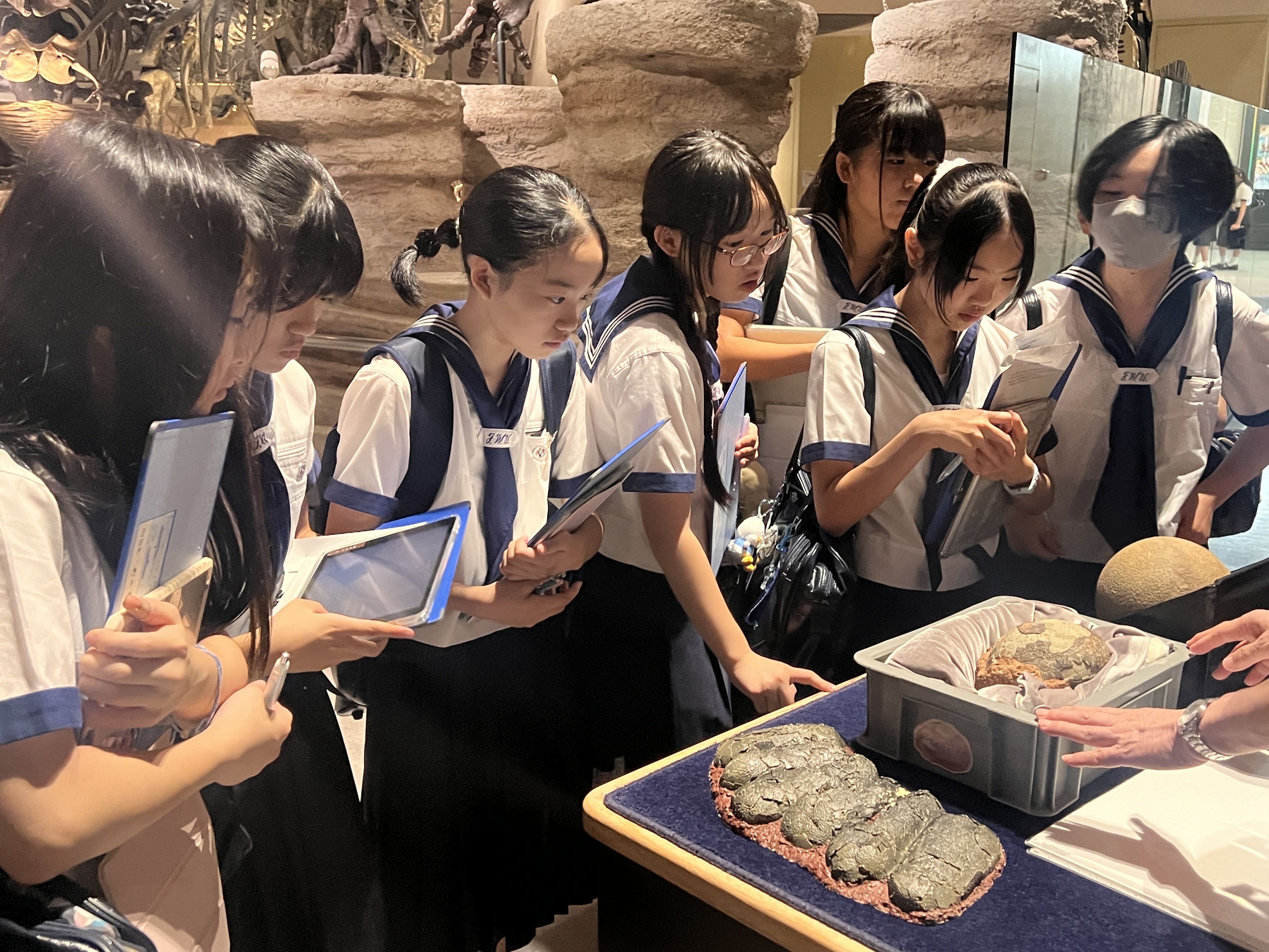 恐竜の卵の化石について説明をしてくださいました