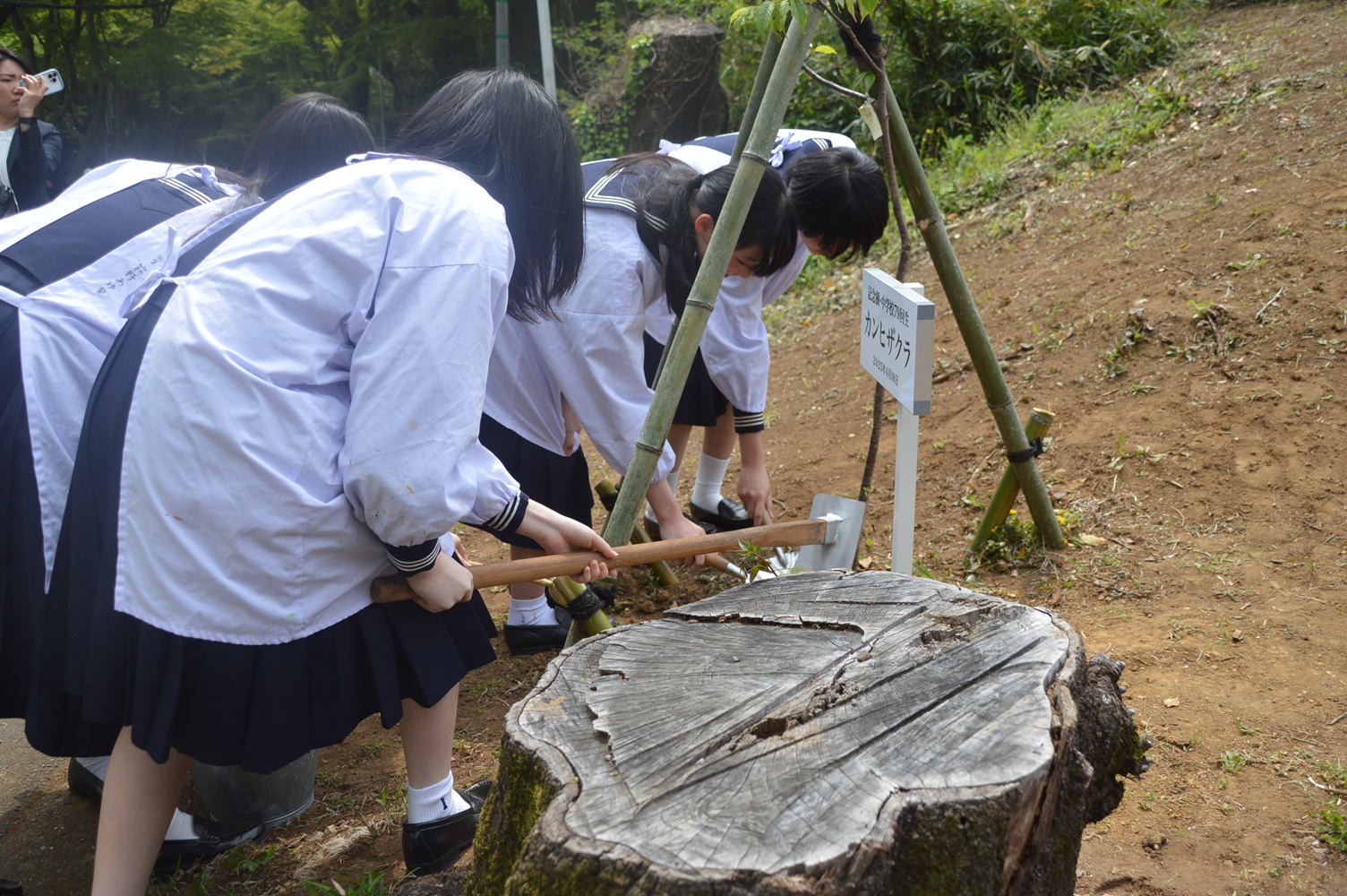 植樹式　生活部が代表して植樹を行う様子