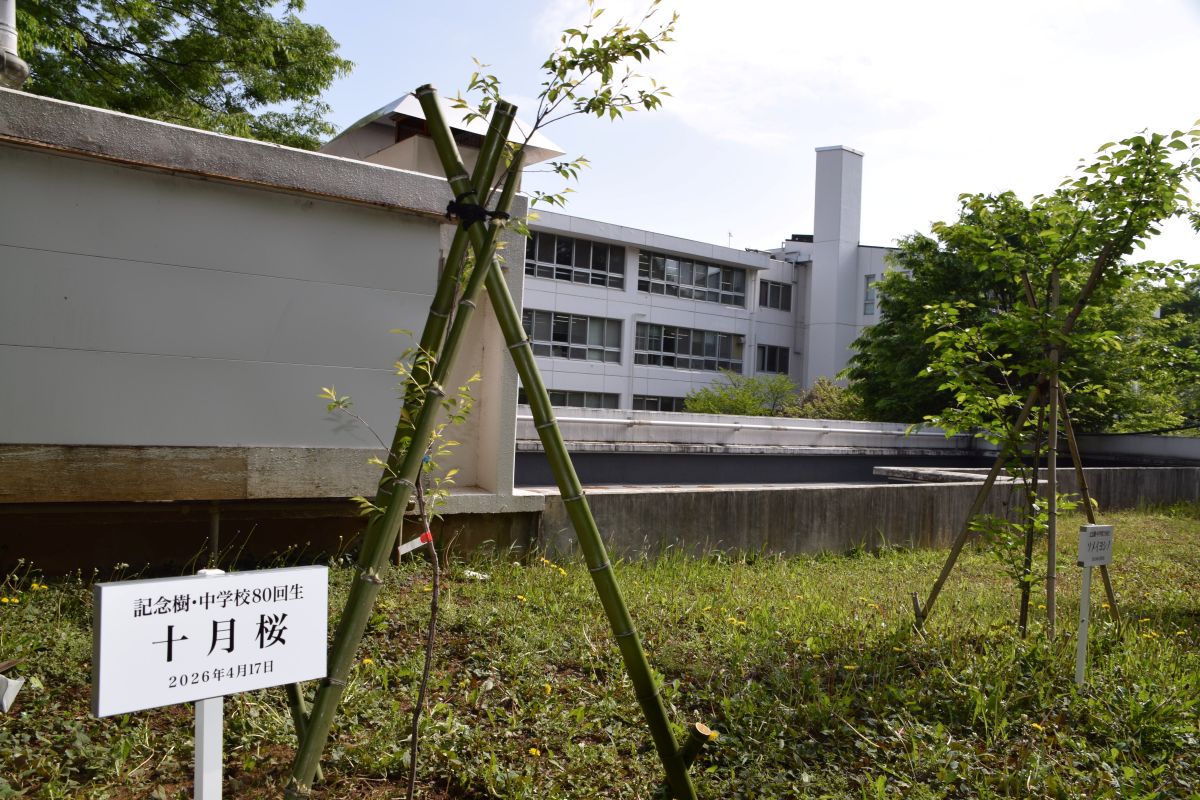 80回生記念樹「十月桜」