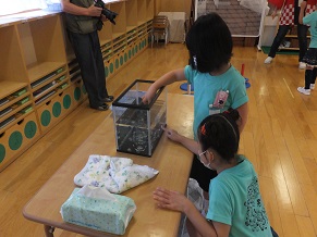 ゲーム　コイン落とし