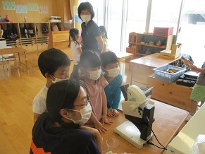 幼虫はどんなふうになっているかな？