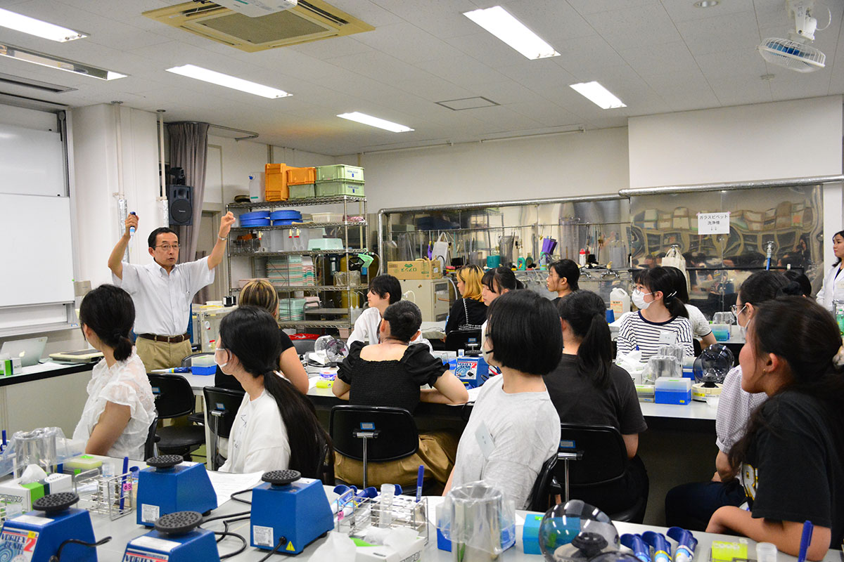 理学部サマースクール2024の様子ヒト培養細胞への遺伝子導入(和賀祥教授・化学生命科学科)
