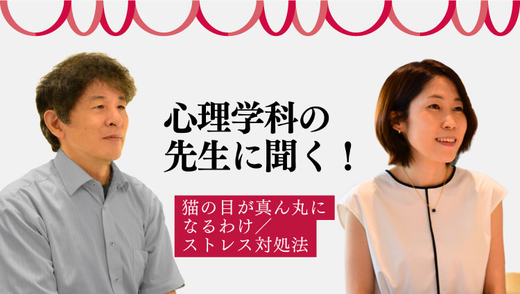 心理学科の先生に聞く!猫の目が真ん丸になるわけ/ストレス対処法