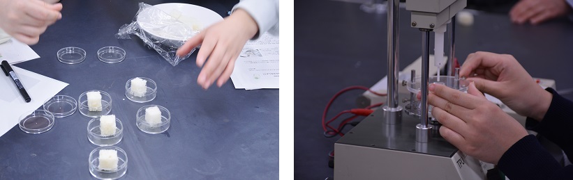 左)パンを試料ケースに入れ準備する様子/右)パンのかたさを測定する様子