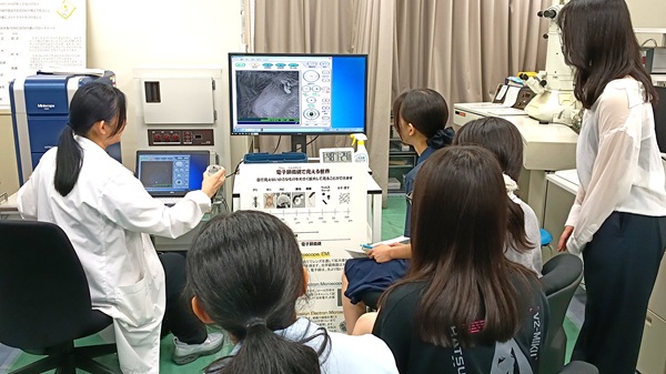 電子顕微鏡で撮影した画像には見たことのない世界が広がる