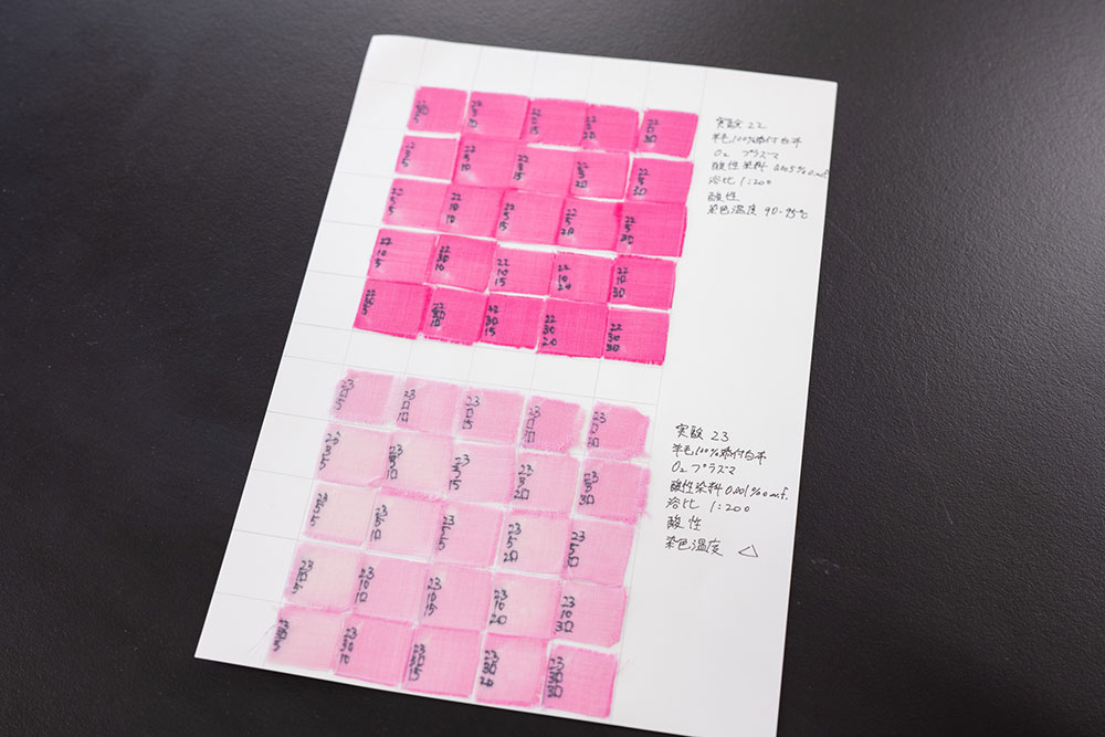 染色性を比較評価した試料