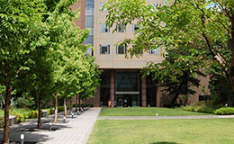 大学・大学院