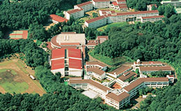 附属中学校