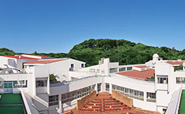 附属高等学校
